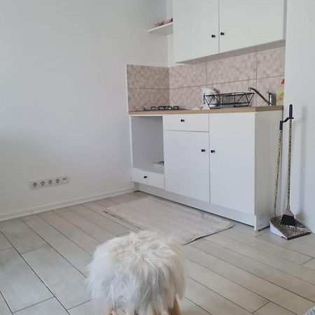 Cute Modern Apartman Zagreb Apartment ภายนอก รูปภาพ